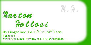 marton hollosi business card